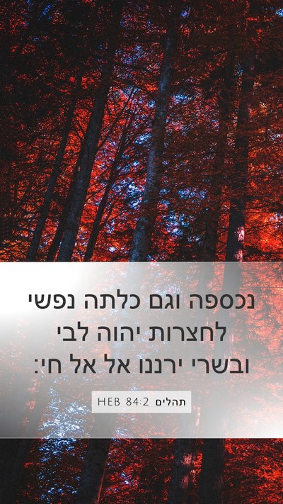 תהלים 84:2 HEB Bible Verse Image
