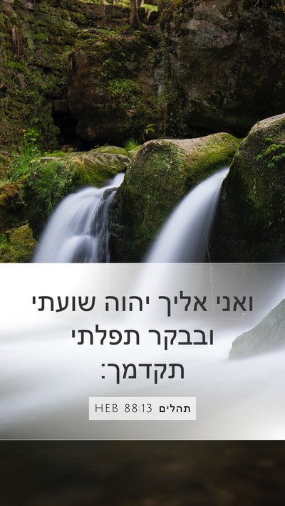 תהלים 88:13 HEB Bible Verse Image