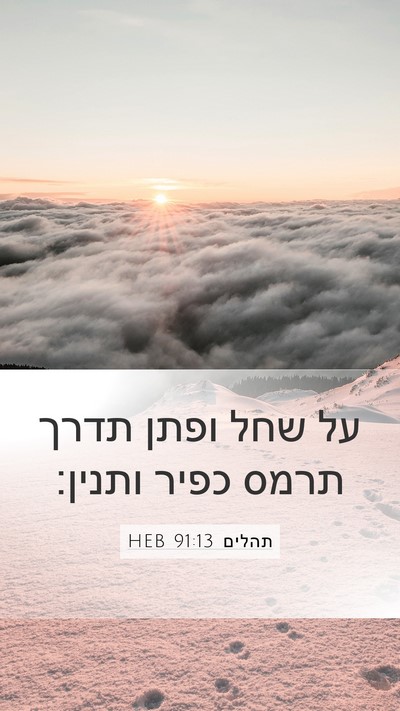 תהלים 91:13 HEB Bible Verse Image